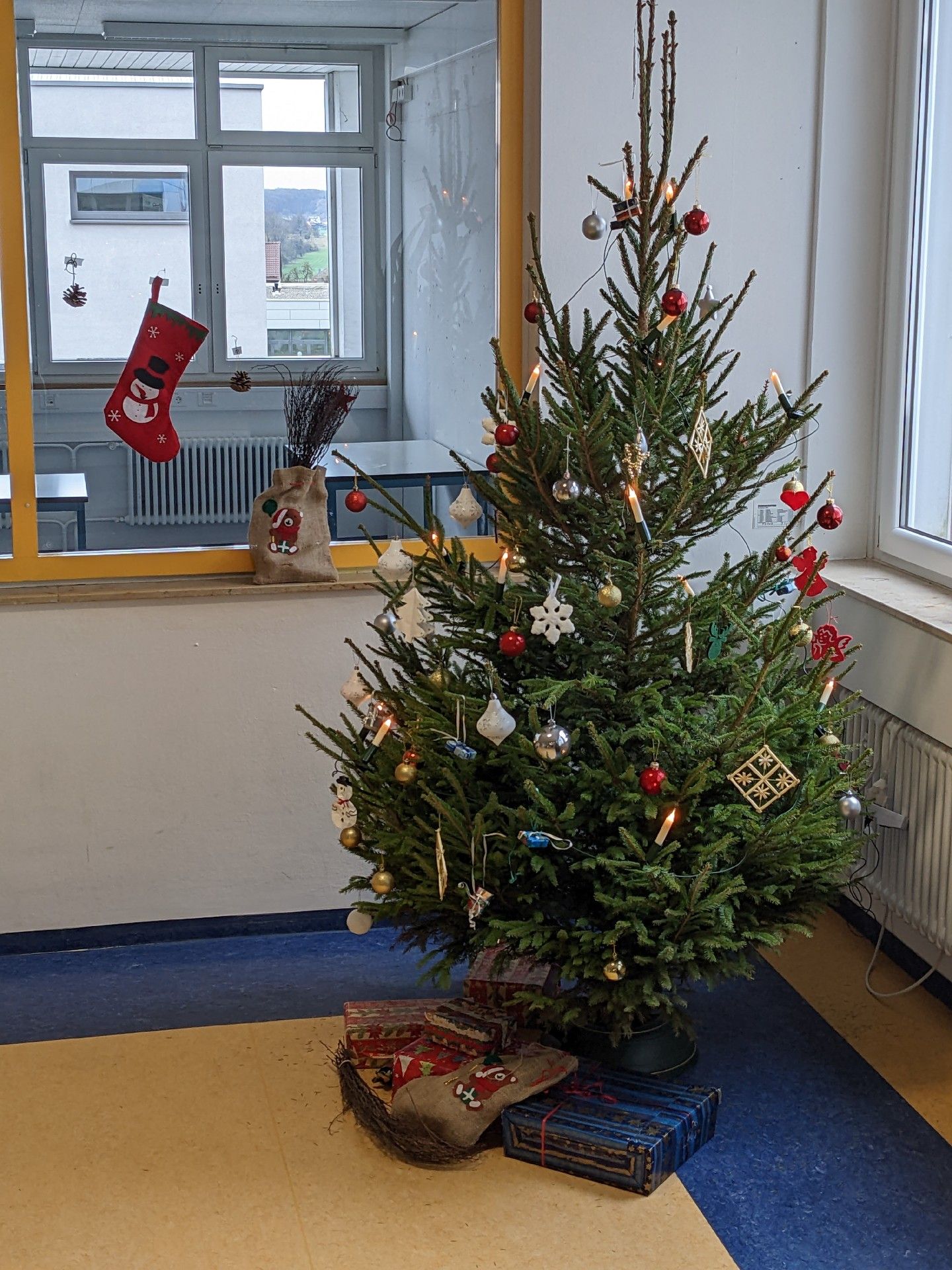 PXL 20221125 112219901 MEDIUM