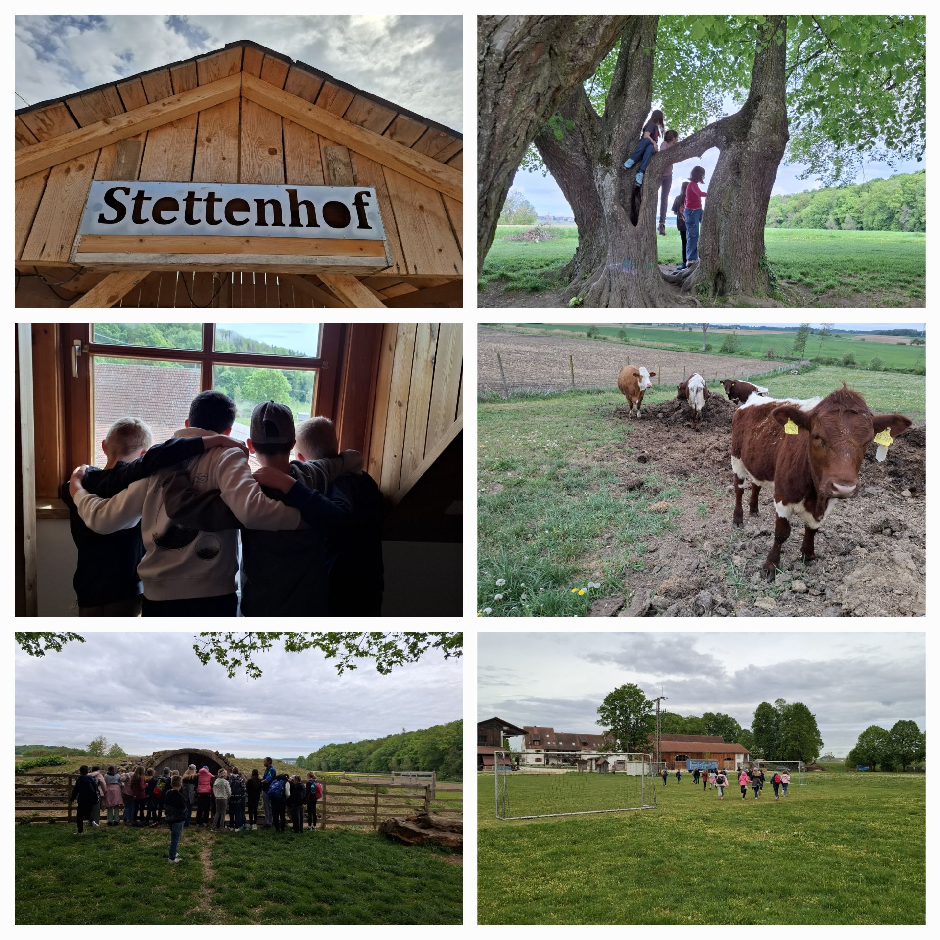 stettenhof.jpg